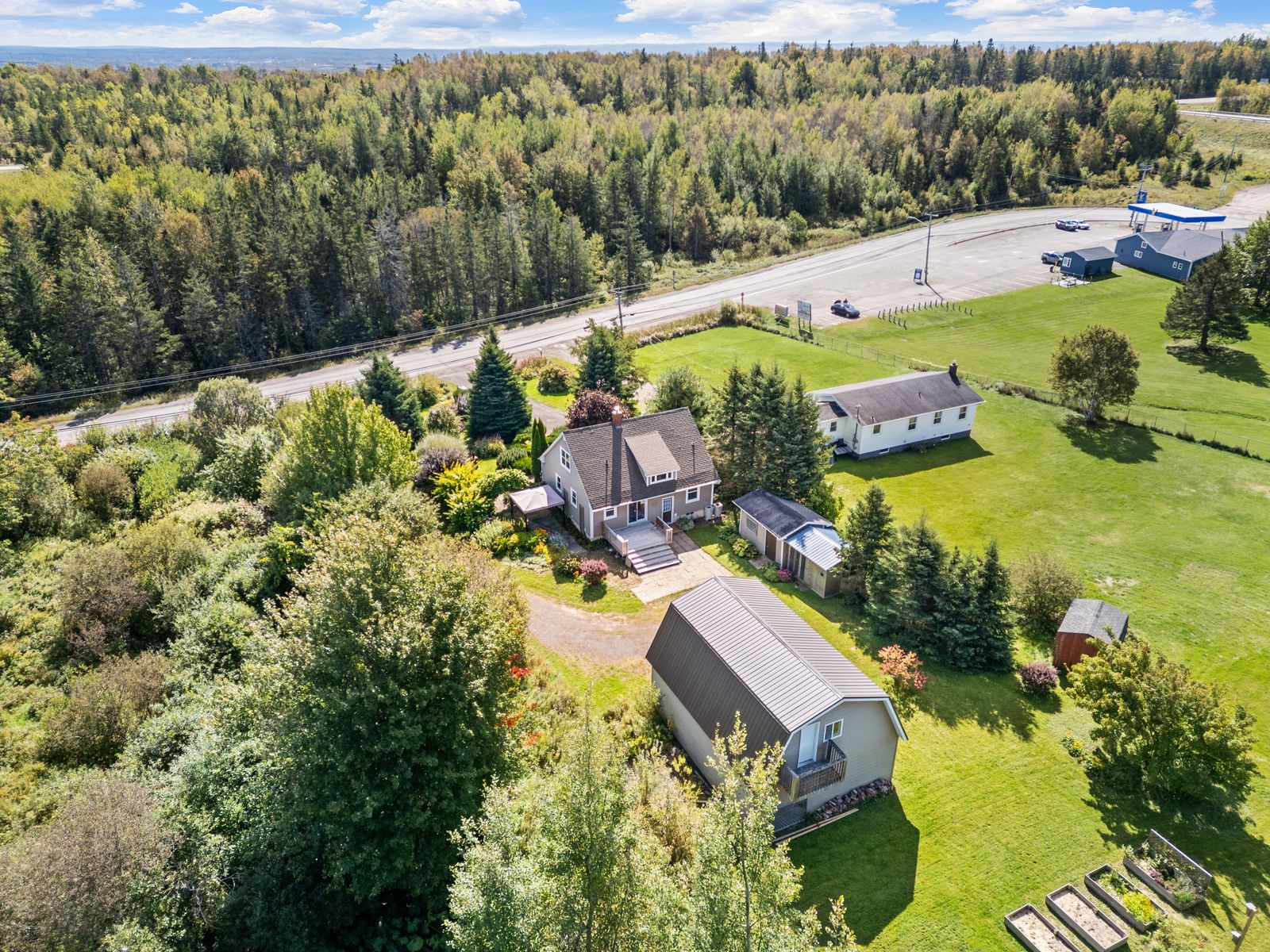 Rear aerial view — cedar hedge and mature trees